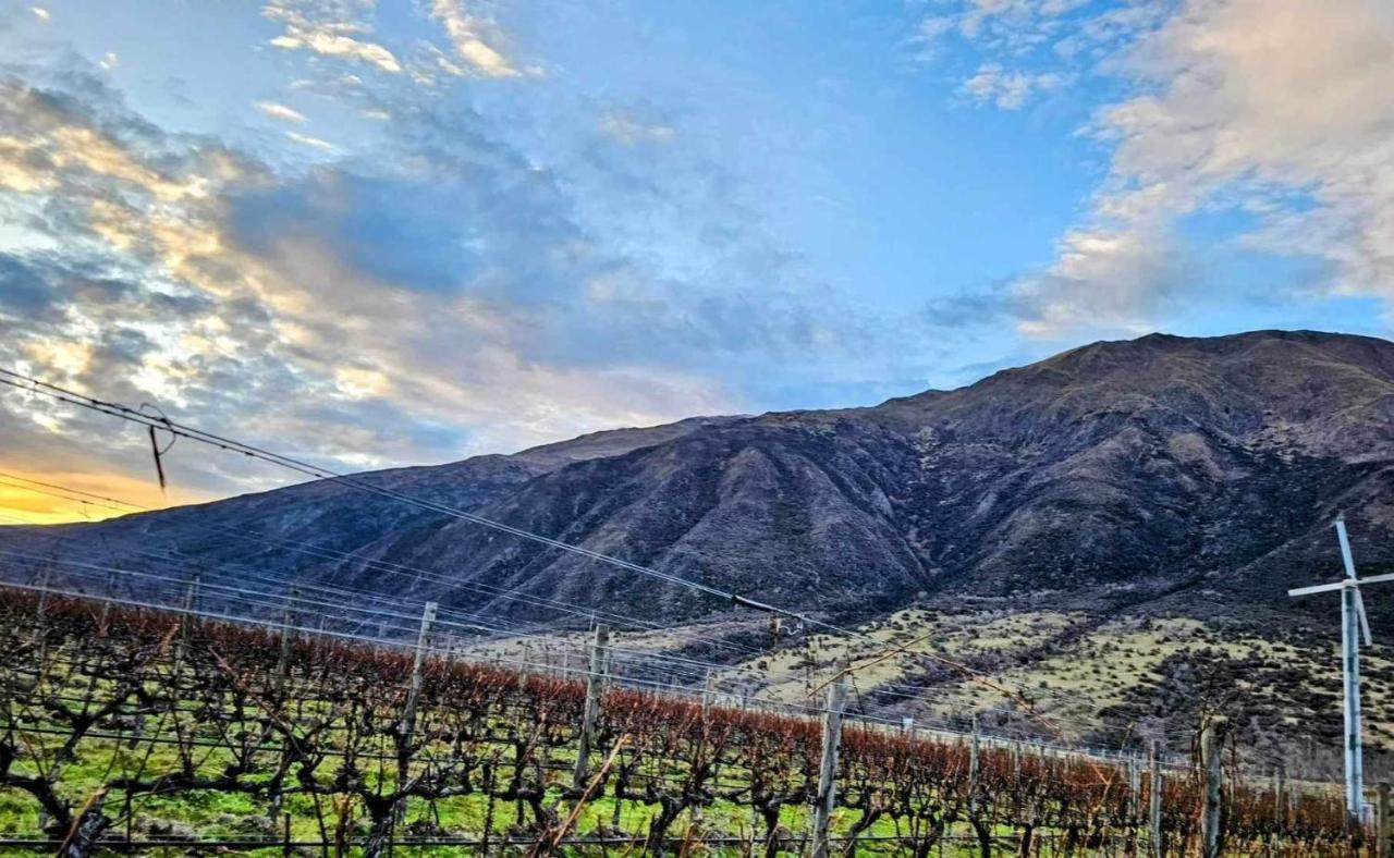 Gibbston - Wake Up In The Vines Lejlighed Eksteriør billede